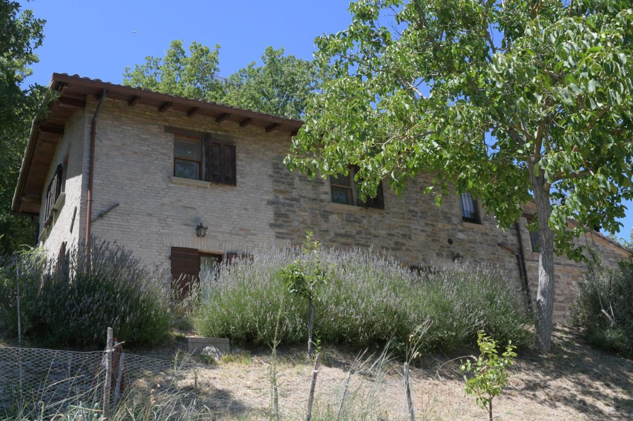 Localita S Cecilia 30, Urbania Appartement Buitenkant foto